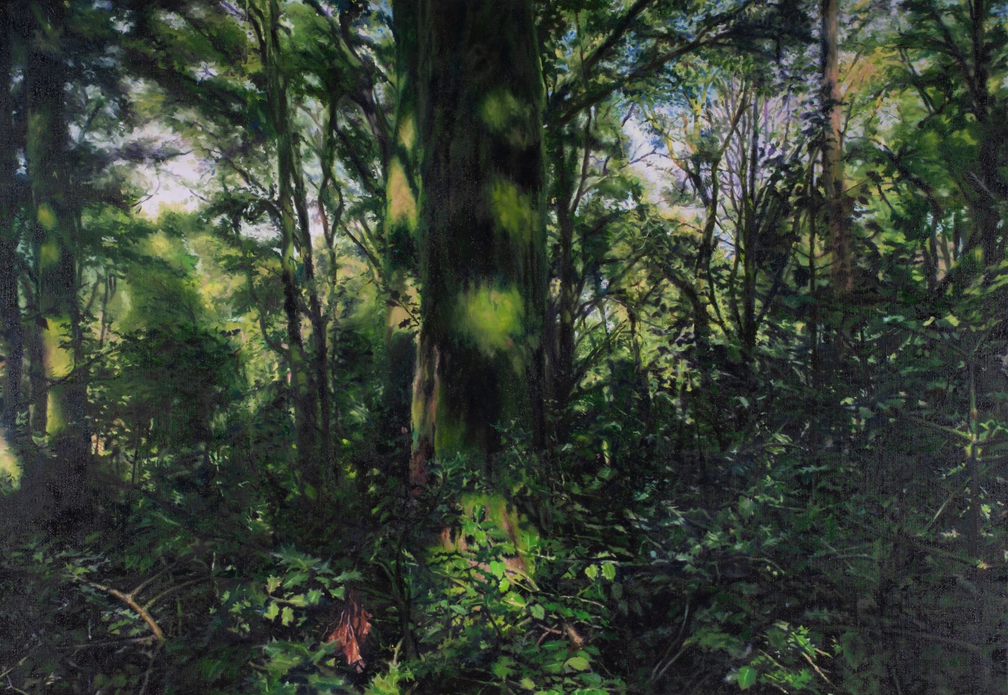 Peter Rösel, 46°55.88N 4°2.55E HDG 35° (Mont Beuvray)